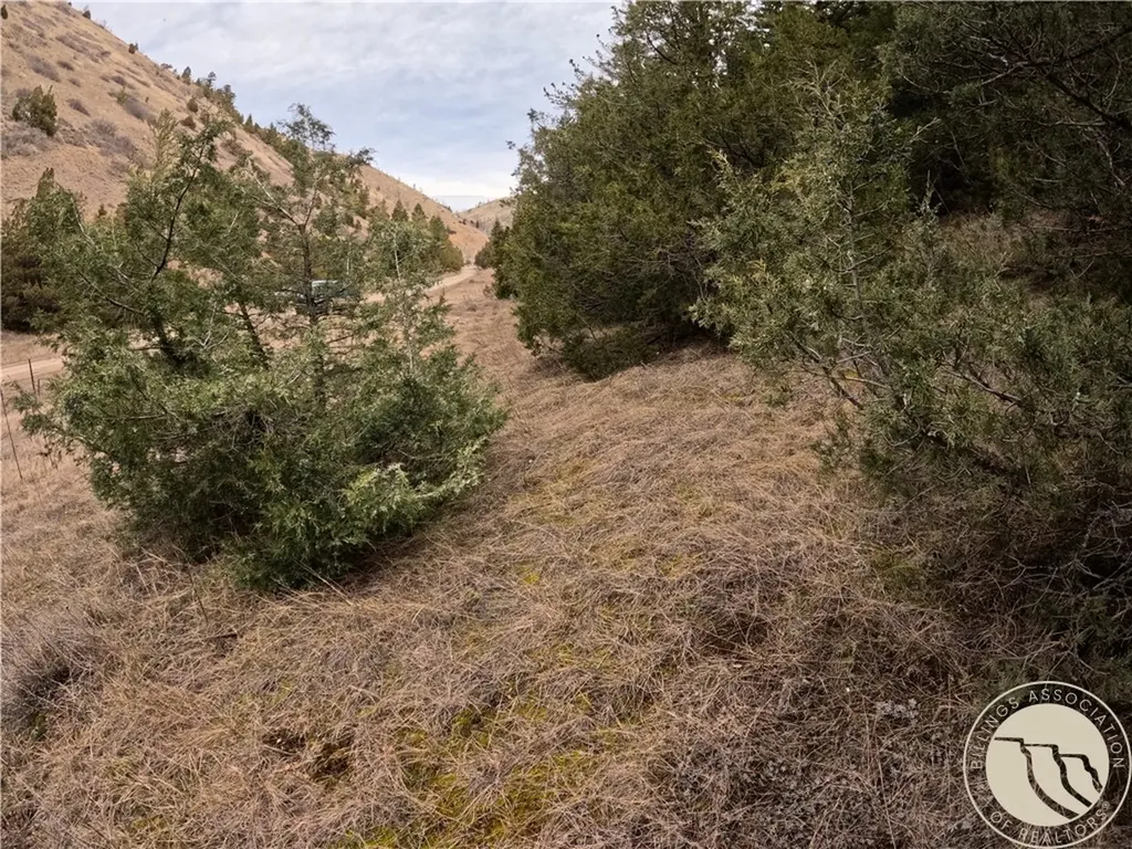 Lot 381&379 Pole Gulch Road Other MT 59752