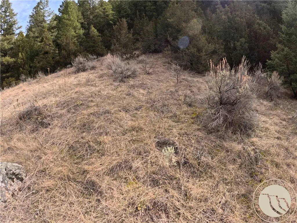 Lot 381&379 Pole Gulch Road Other MT 59752