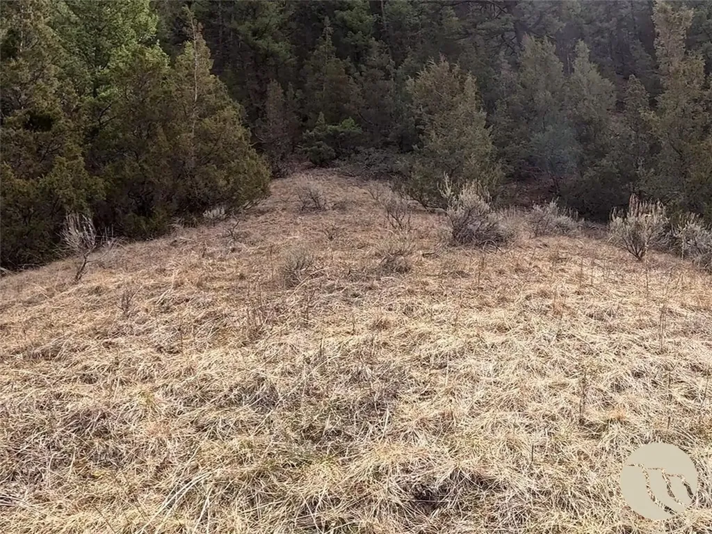 Lot 381&379 Pole Gulch Road Other MT 59752