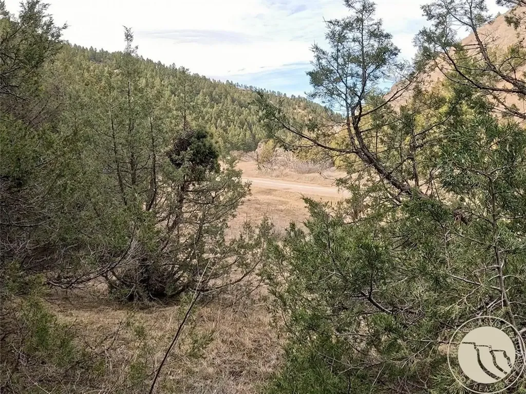 Lot 381&379 Pole Gulch Road Other MT 59752