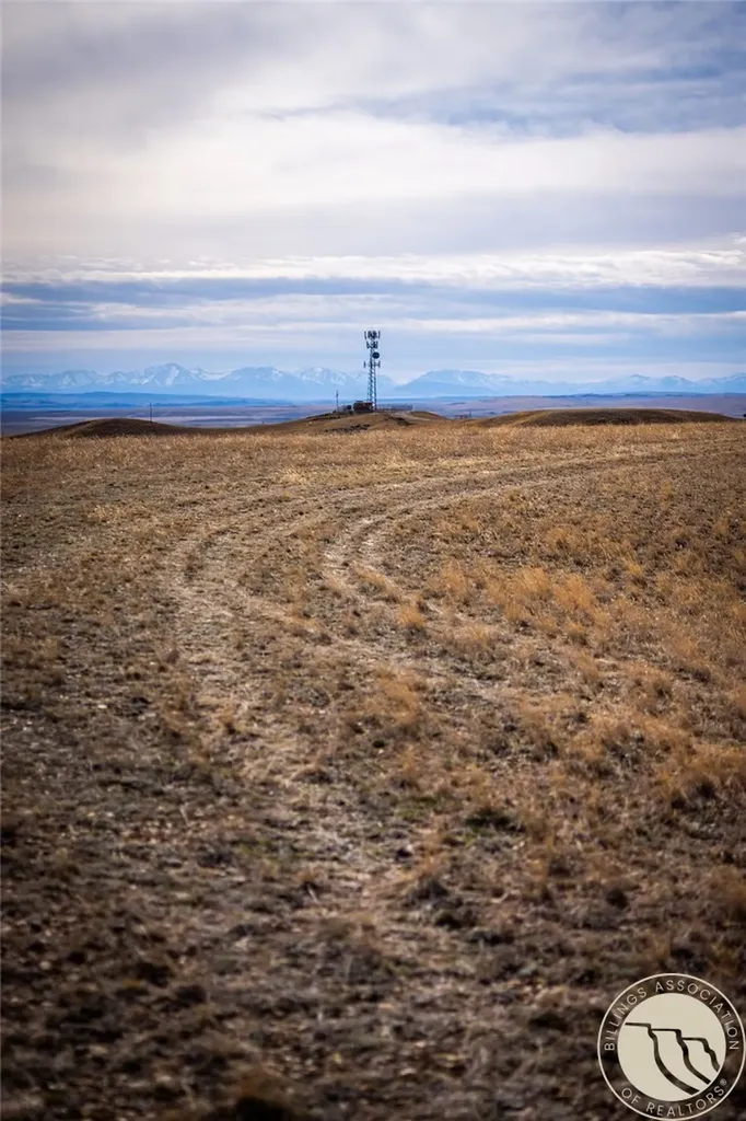 Tbd Tract 94 (deadman's Basin) Shawmut MT 59078