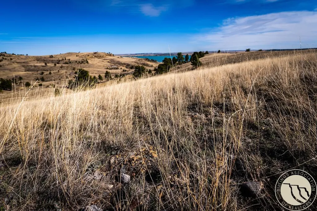 Tbd Tract 94 (deadman's Basin) Shawmut MT 59078
