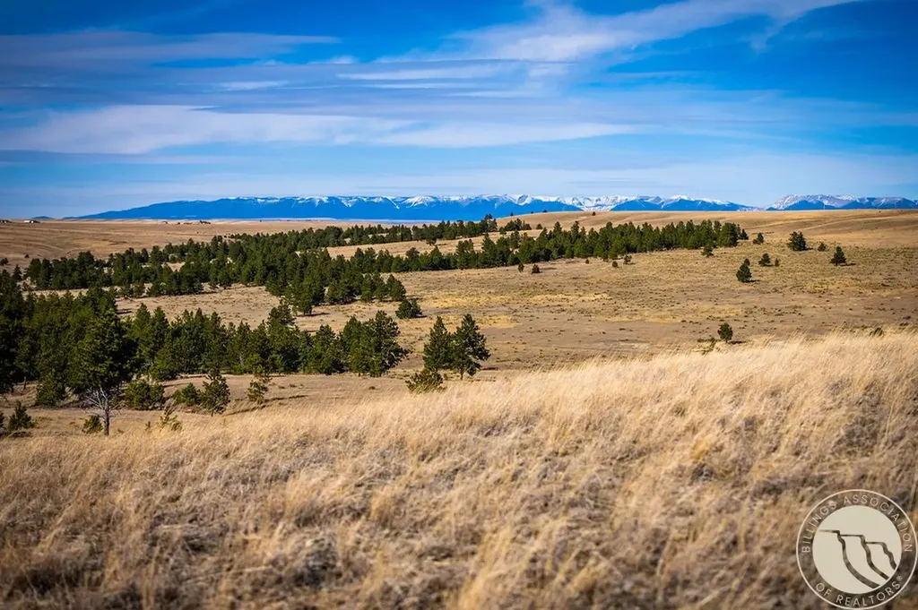 Tbd Tract 94 (deadman's Basin) Shawmut MT 59078