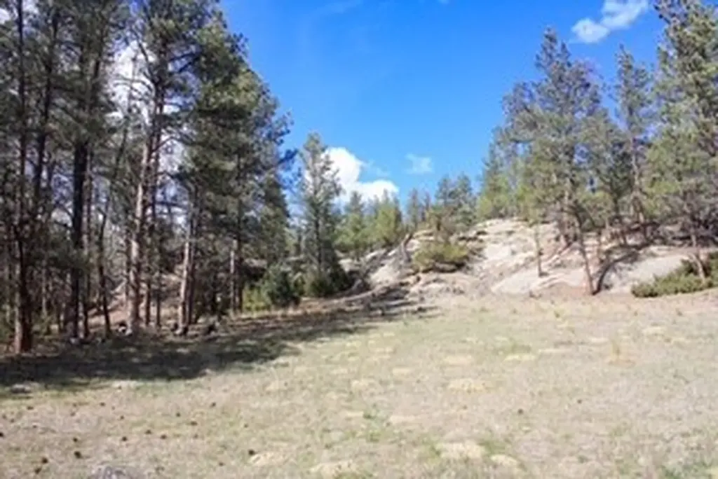 32 Montana Street Roundup MT 59072