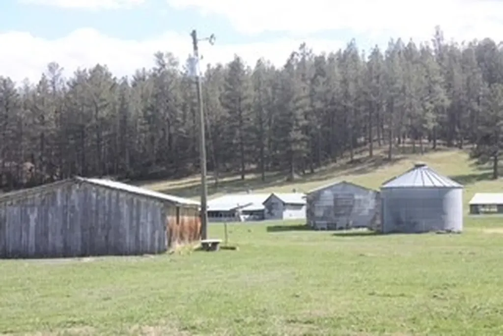 32 Montana Street Roundup MT 59072