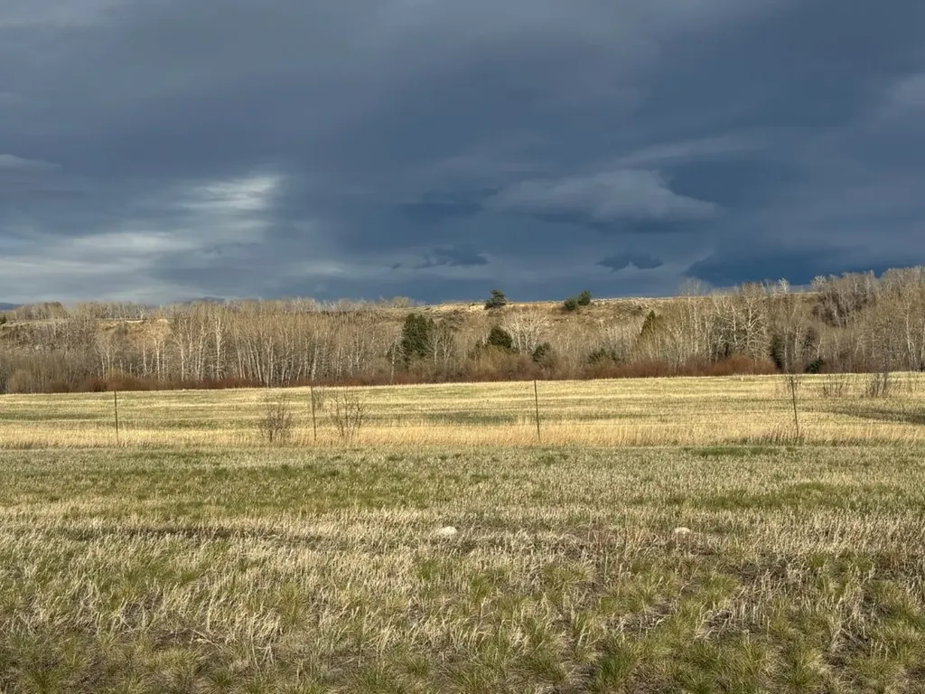 Nhn Us Highway 212 Red Lodge MT 59068