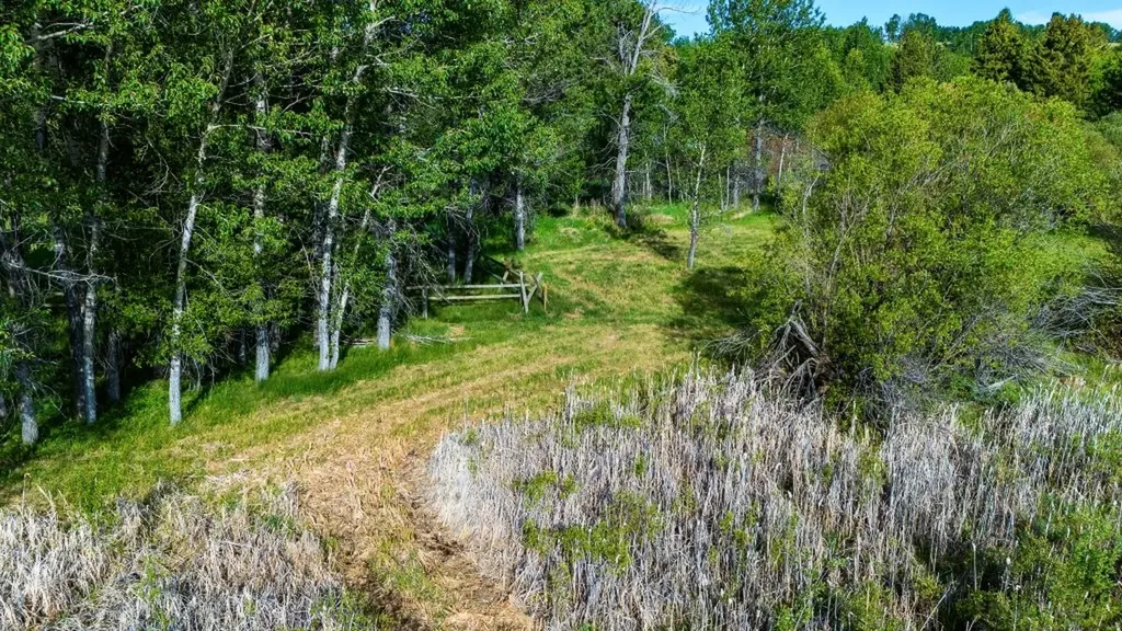 Nhn Us Highway 212 Red Lodge MT 59068