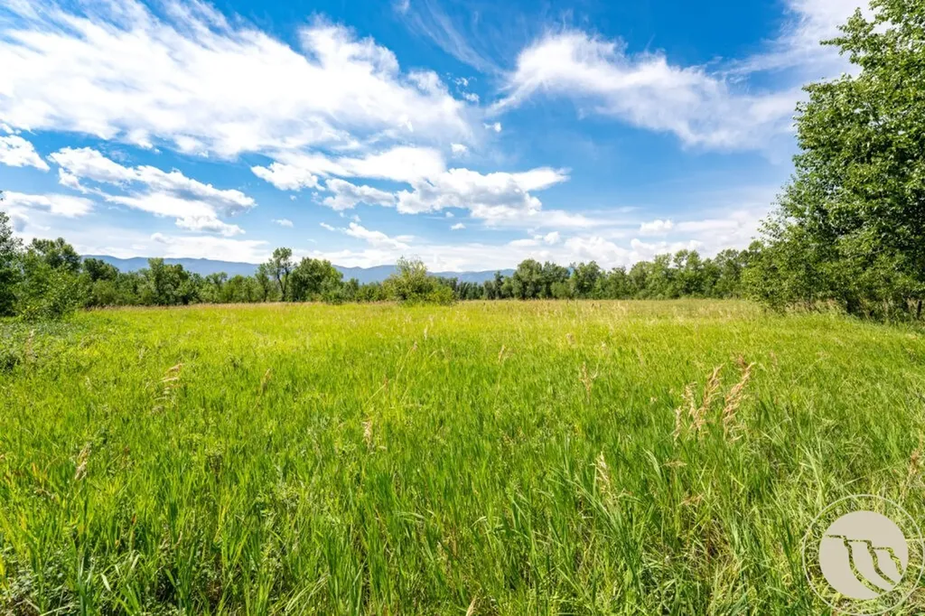 74 Lower Luther Road Red Lodge MT 59068