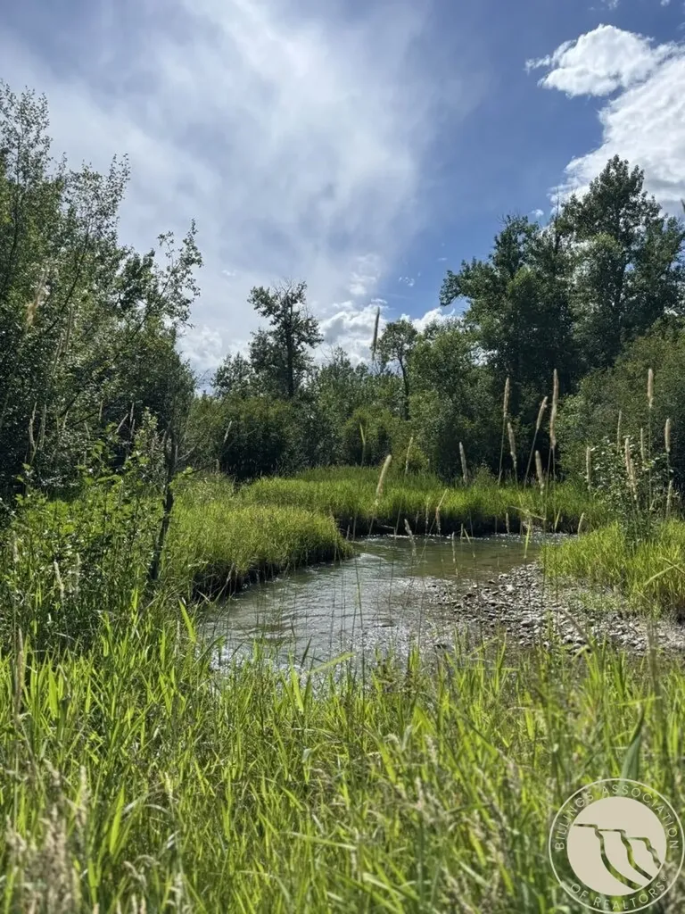 74 Lower Luther Road Red Lodge MT 59068