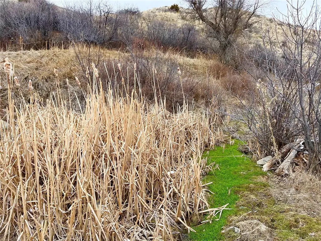 80 Acres Moser Dome Road Laurel MT 59044
