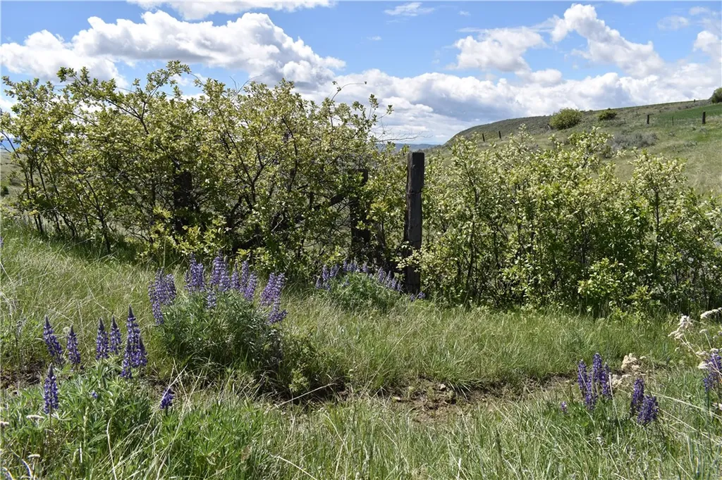 80 Acres Moser Dome Road Laurel MT 59044