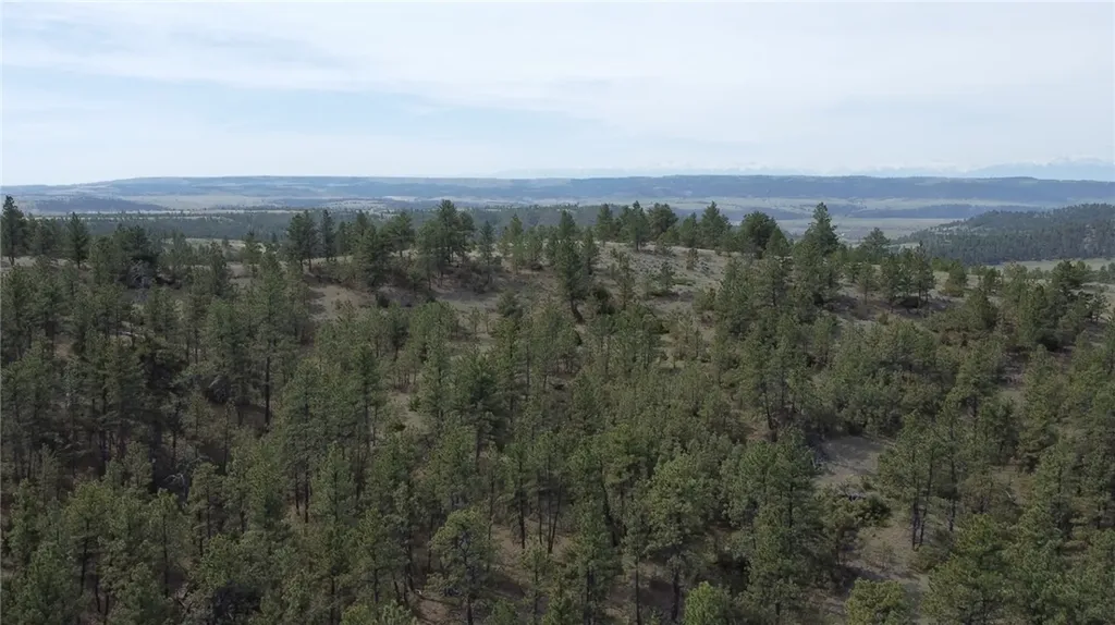 Lot 149 Horse Apple Road Columbus MT 59019