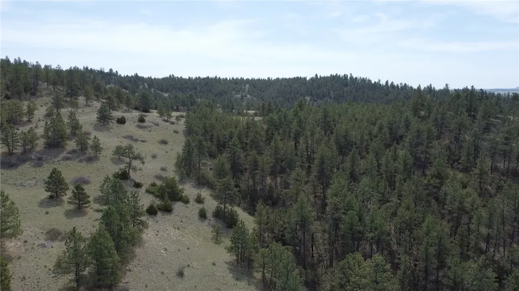 Lot 149 Horse Apple Road Columbus MT 59019