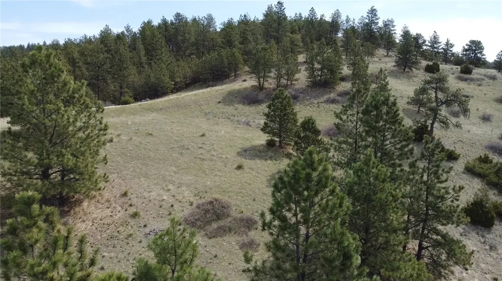 Lot 149 Horse Apple Road Columbus MT 59019