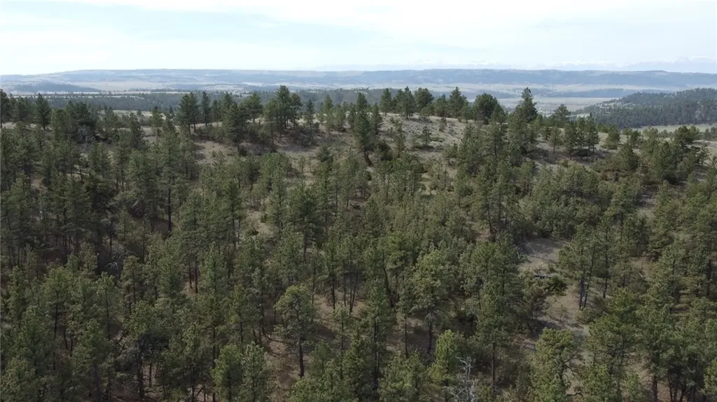 Lot 149 Horse Apple Road Columbus MT 59019