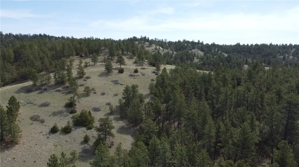 Lot 149 Horse Apple Road Columbus MT 59019