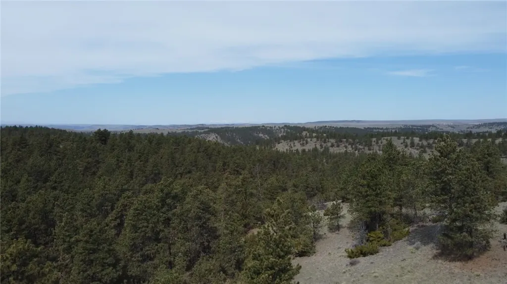 Lot 149 Horse Apple Road Columbus MT 59019