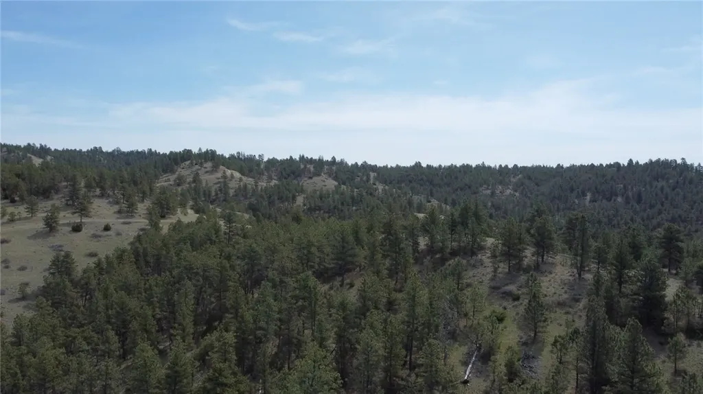 Lot 149 Horse Apple Road Columbus MT 59019