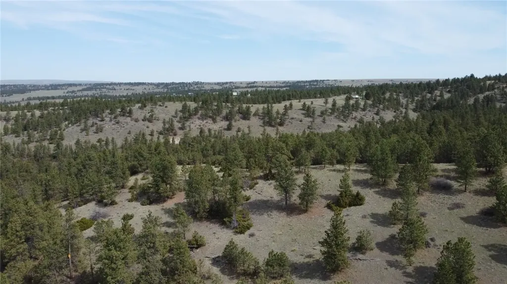 Lot 149 Horse Apple Road Columbus MT 59019