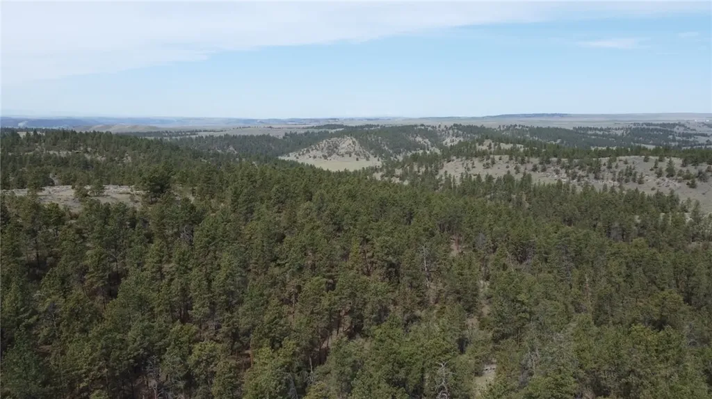 Lot 149 Horse Apple Road Columbus MT 59019