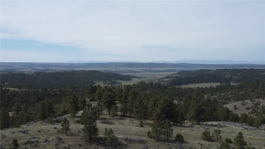 Lot 149 Horse Apple Road Columbus MT 59019
