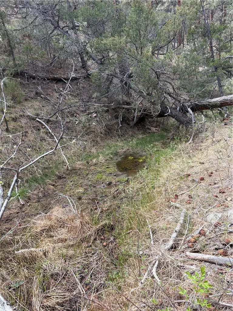 Lot 149 Horse Apple Road Columbus MT 59019