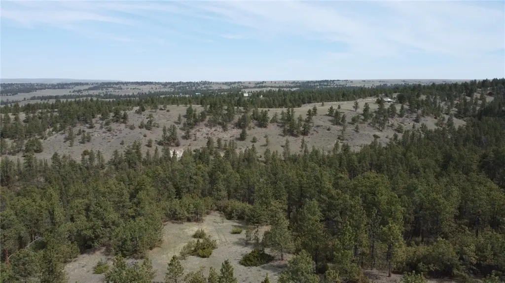 Lot 149 Horse Apple Road Columbus MT 59019