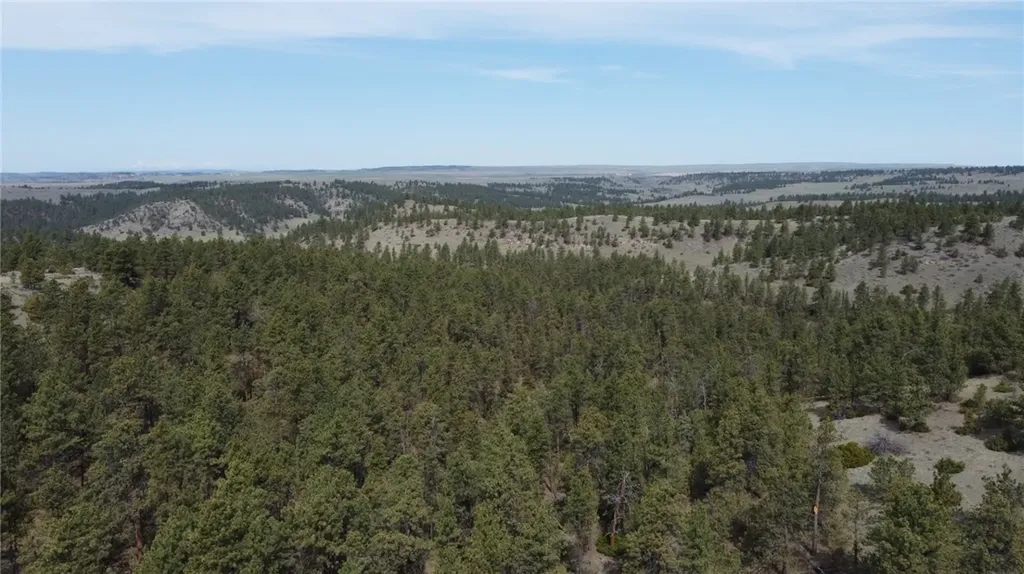 Lot 149 Horse Apple Road Columbus MT 59019