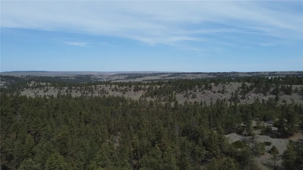 Lot 149 Horse Apple Road Columbus MT 59019