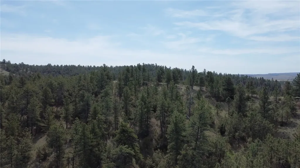 Lot 149 Horse Apple Road Columbus MT 59019