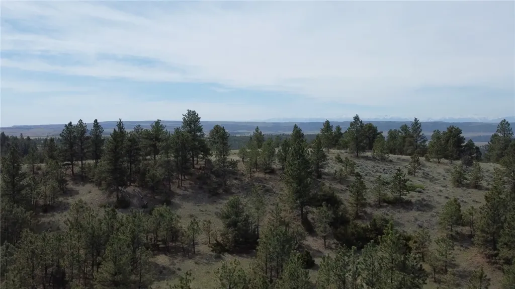 Lot 149 Horse Apple Road Columbus MT 59019