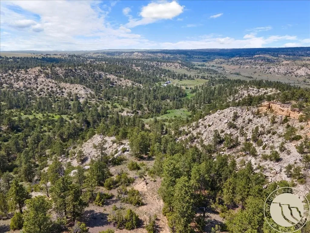369 Border Trail Shepherd MT 59072