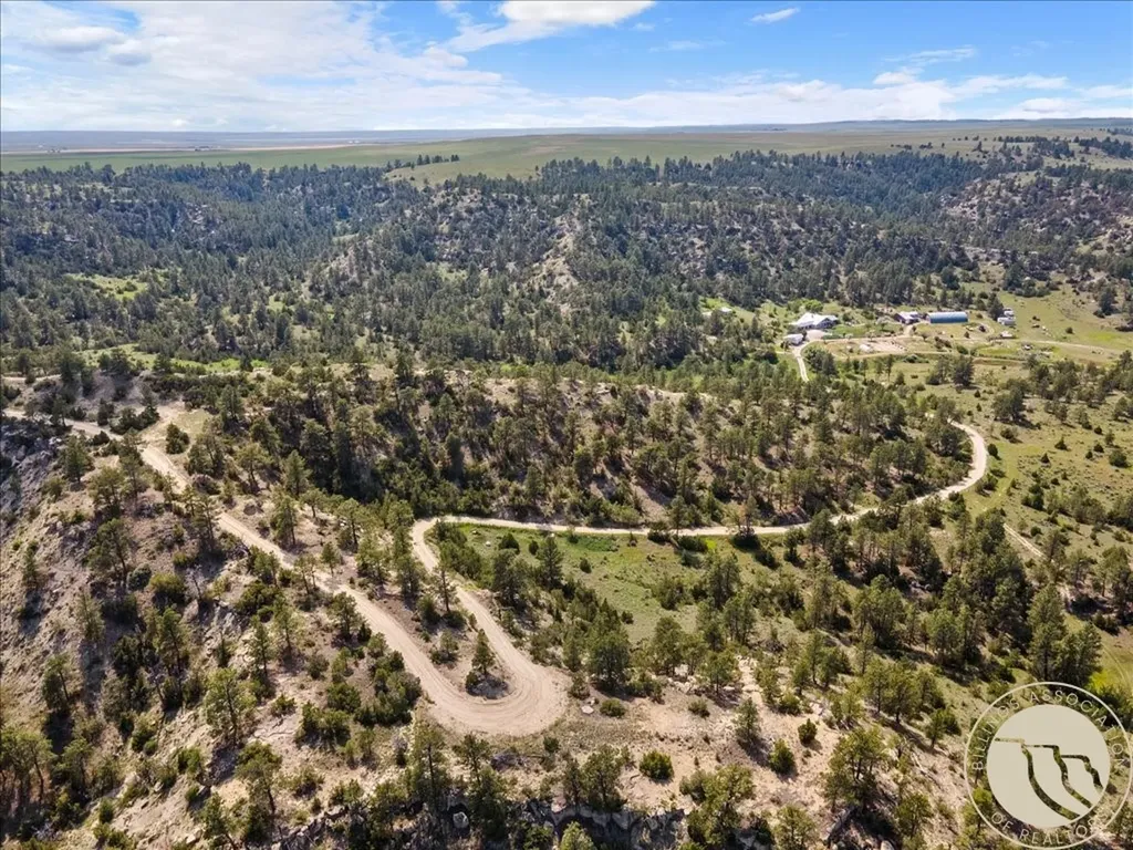 369 Border Trail Shepherd MT 59072