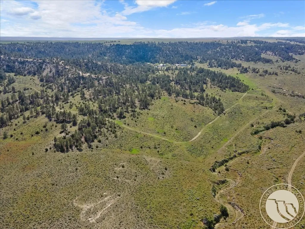 369 Border Trail Shepherd MT 59072