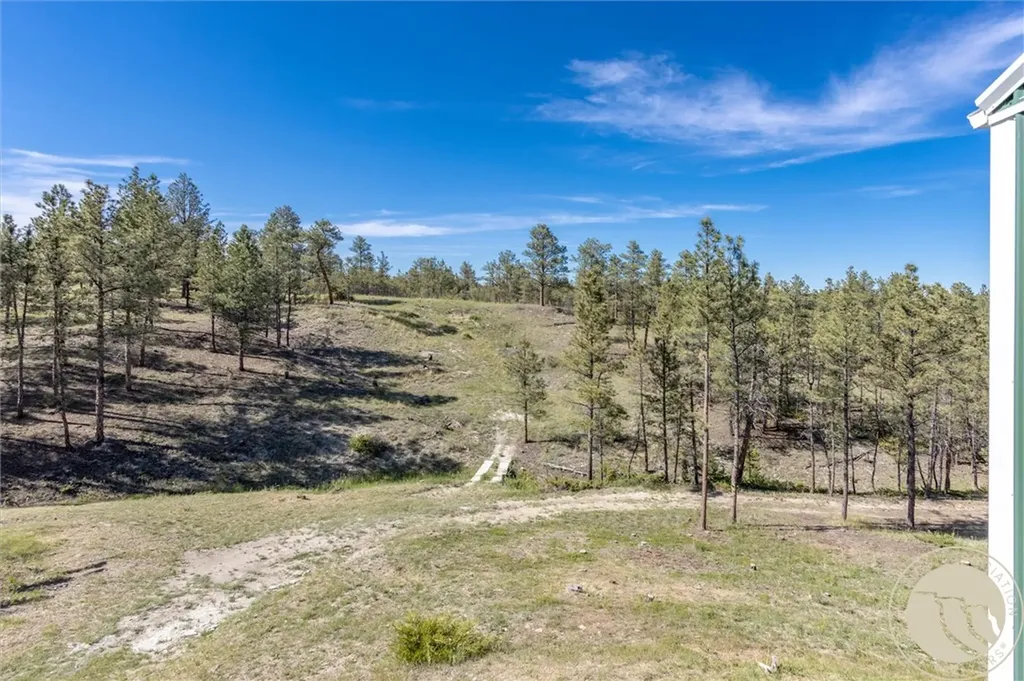 55 Loop Road Roundup MT 59072