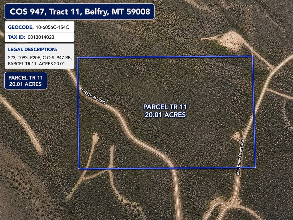 Cos 947 Tract 11 Belfry MT 59008