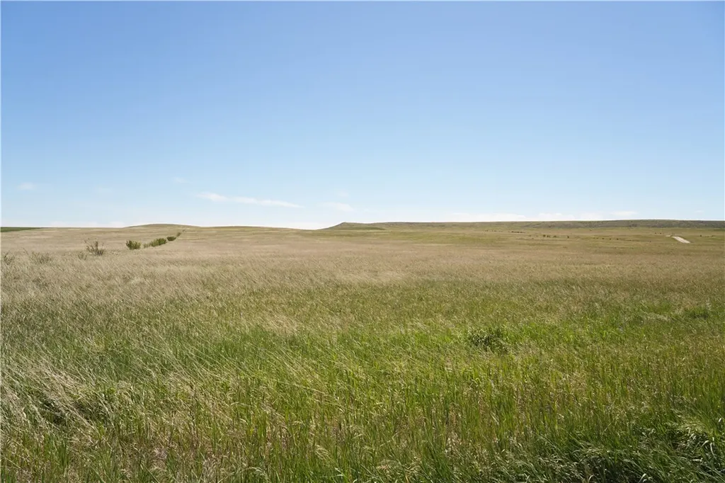 4 Ramage Road Ryegate MT 59074
