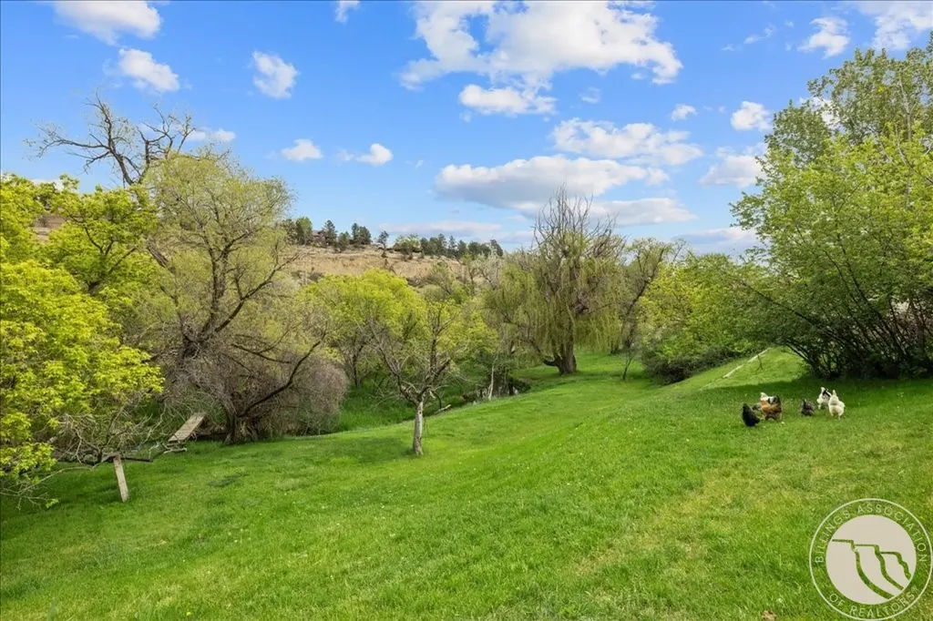611 Indian Trail Billings MT 59105