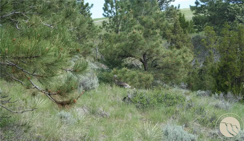 13960 N. Cedar Circle Molt MT 59057