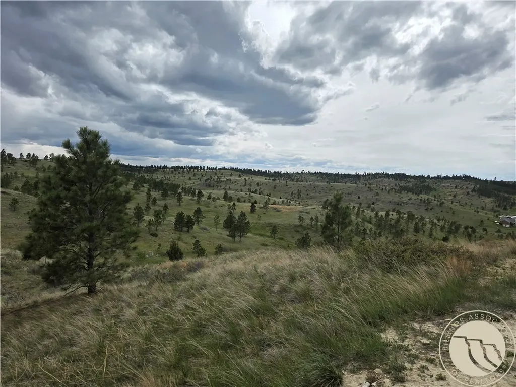 17 Grassland Way Roundup MT 59072