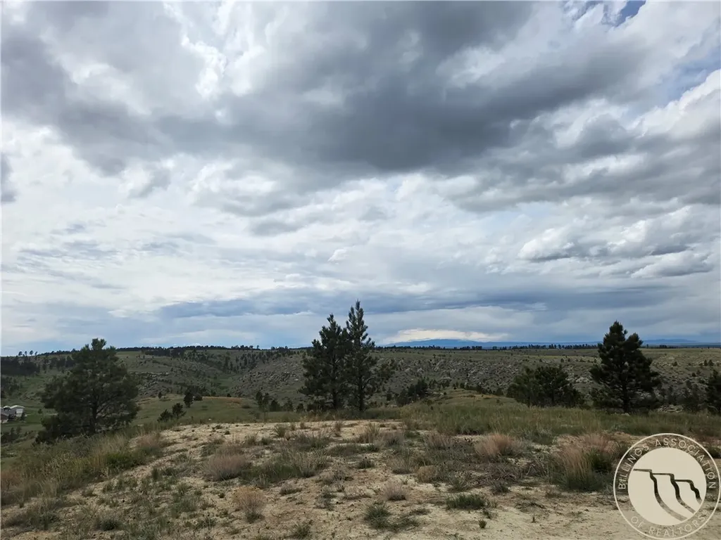 17 Grassland Way Roundup MT 59072