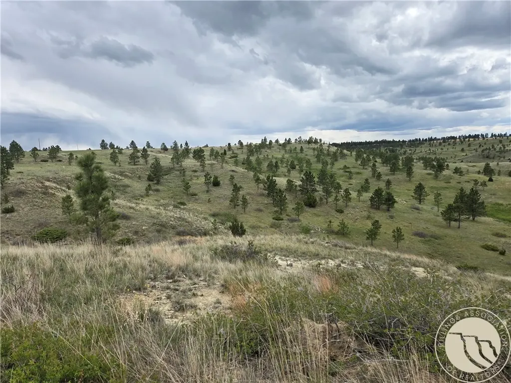17 Grassland Way Roundup MT 59072