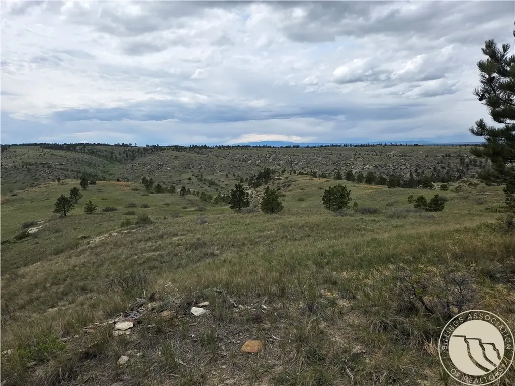 17 Grassland Way Roundup MT 59072