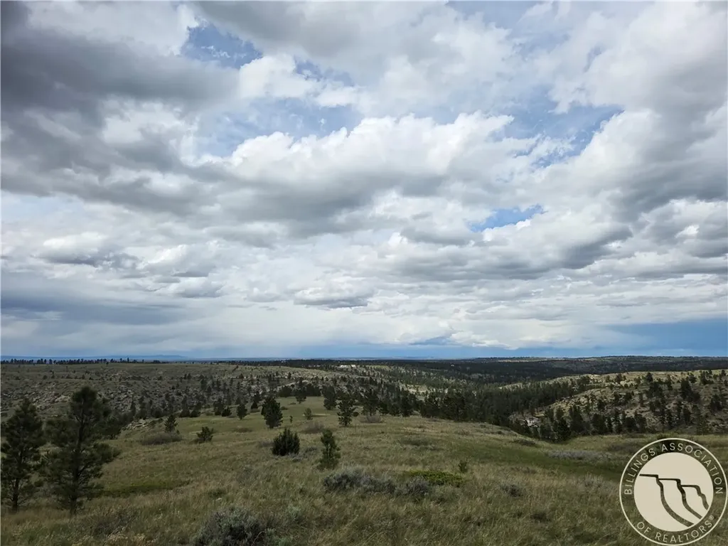 17 Grassland Way Roundup MT 59072