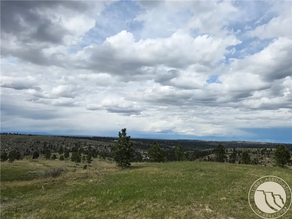 17 Grassland Way Roundup MT 59072