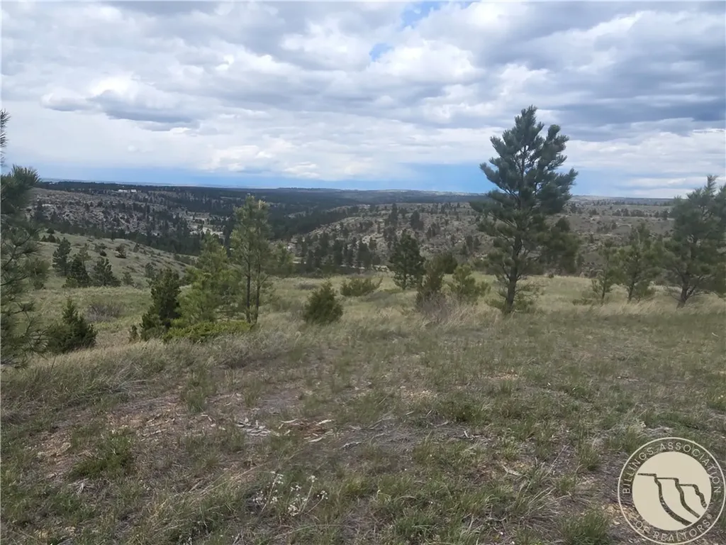 17 Grassland Way Roundup MT 59072