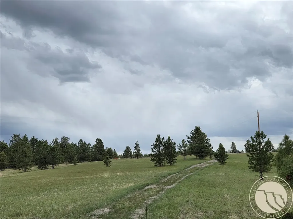 17 Grassland Way Roundup MT 59072