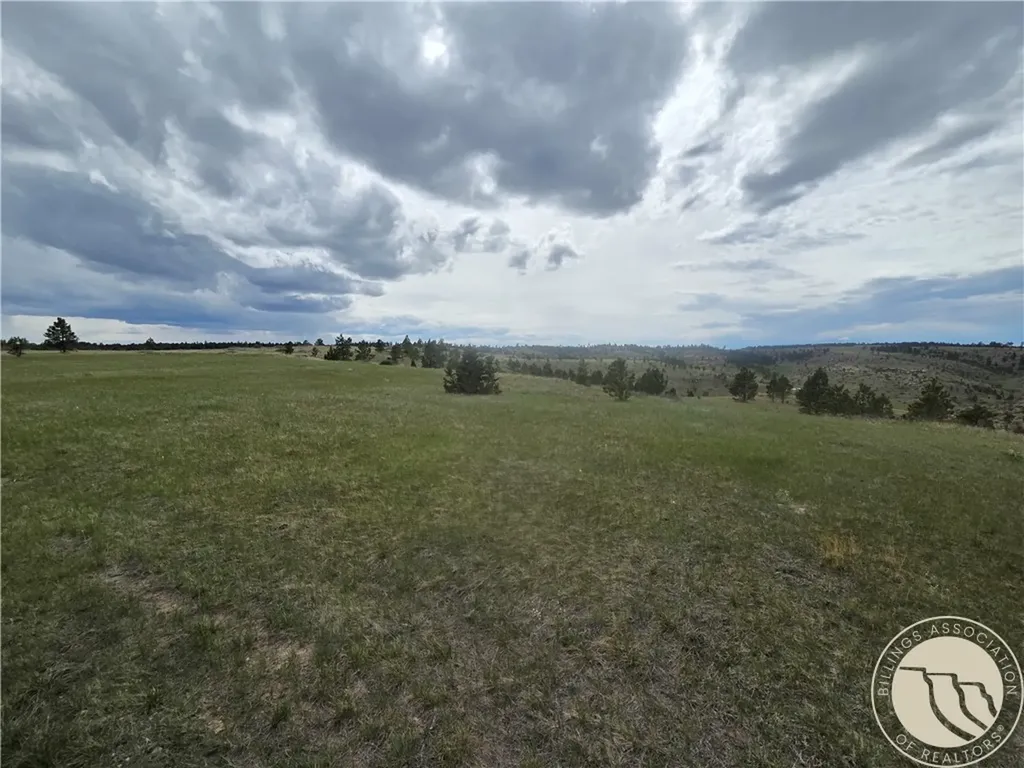 17 Grassland Way Roundup MT 59072