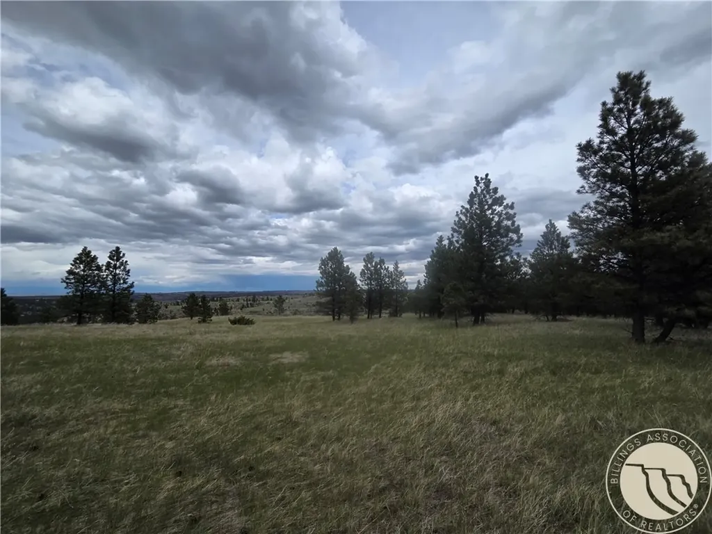 17 Grassland Way Roundup MT 59072