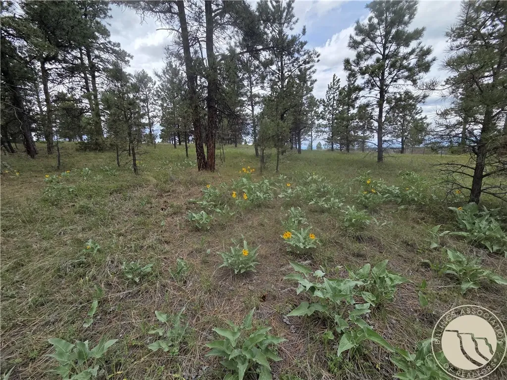 17 Grassland Way Roundup MT 59072